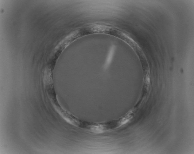 X0000081490411200702021928