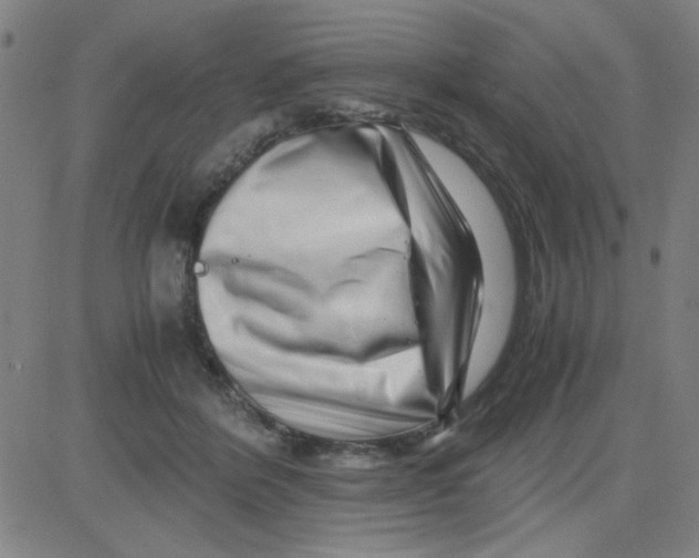 X0000081490412200702021928