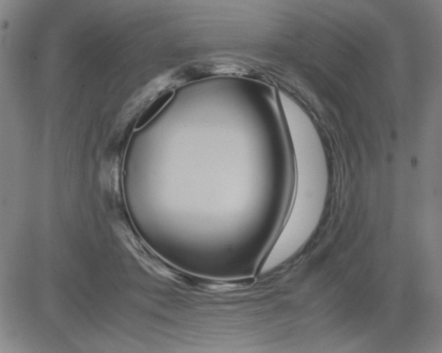 X0000081490413200702021928