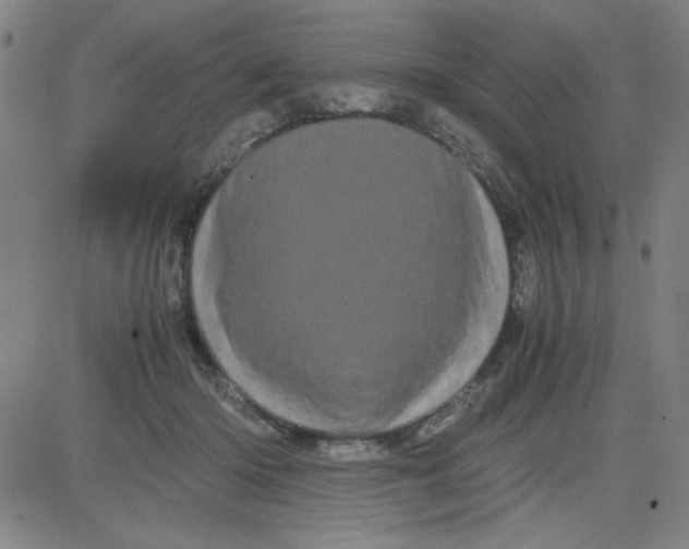 X0000081490414200702021928