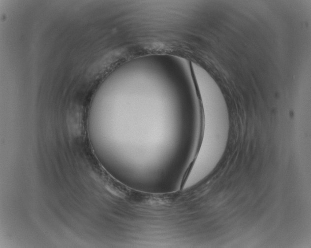 X0000081490416200702021927