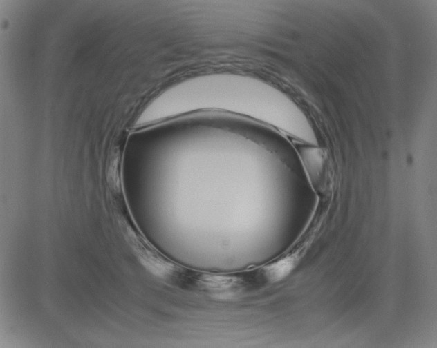 X0000081490417200702021927