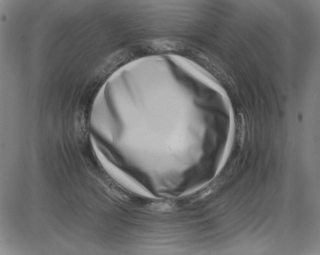 X0000081490418200702021927