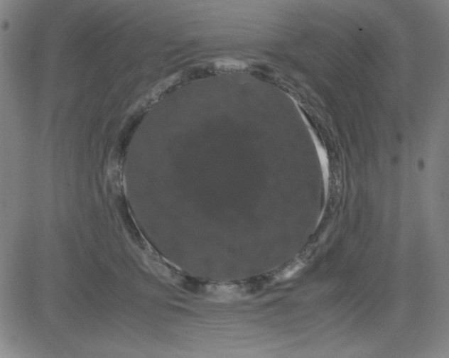 X0000081490419200702021927