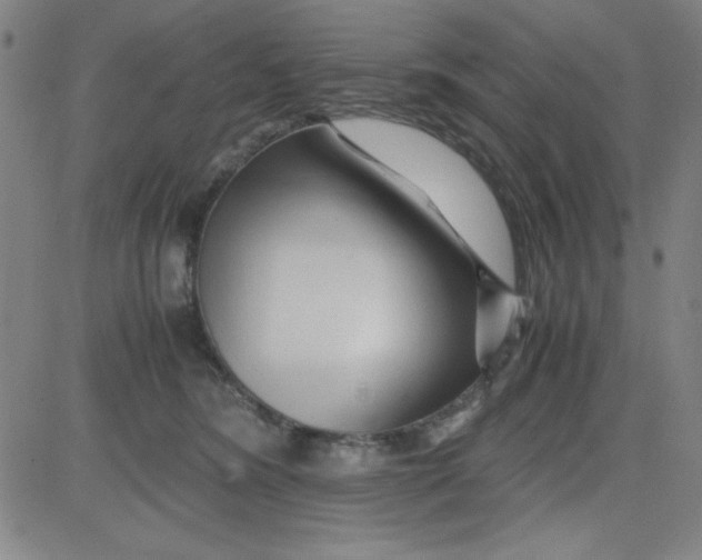 X0000081490420200702021927