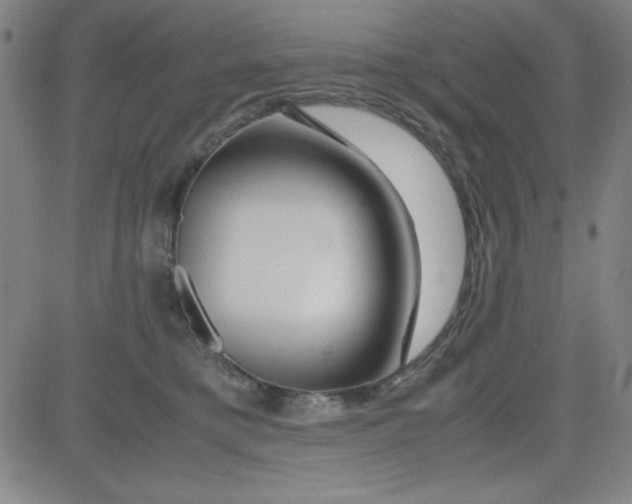 X0000081490421200702021927