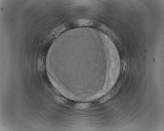 X0000081490422200702021927