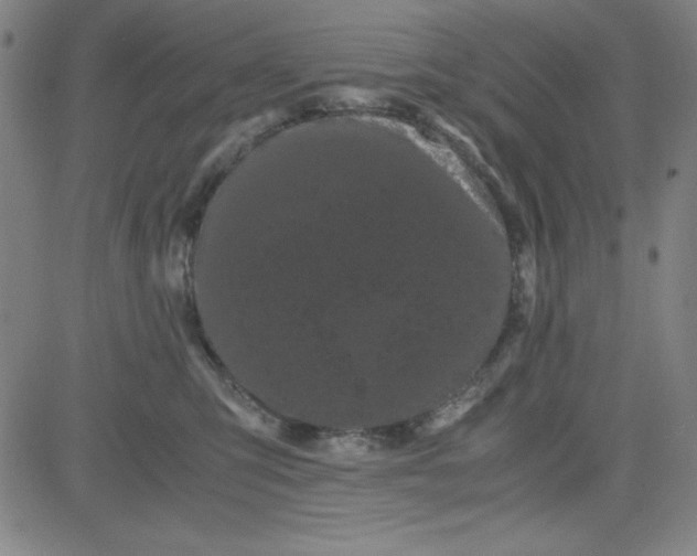 X0000081490423200702021927