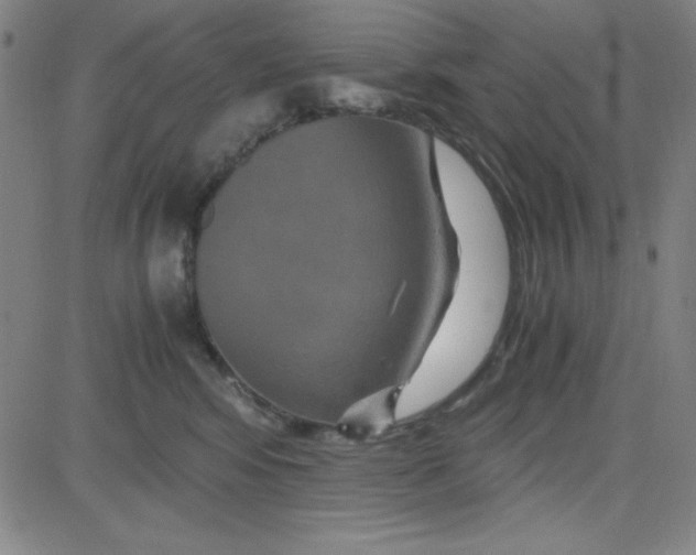 X0000081490424200702021927