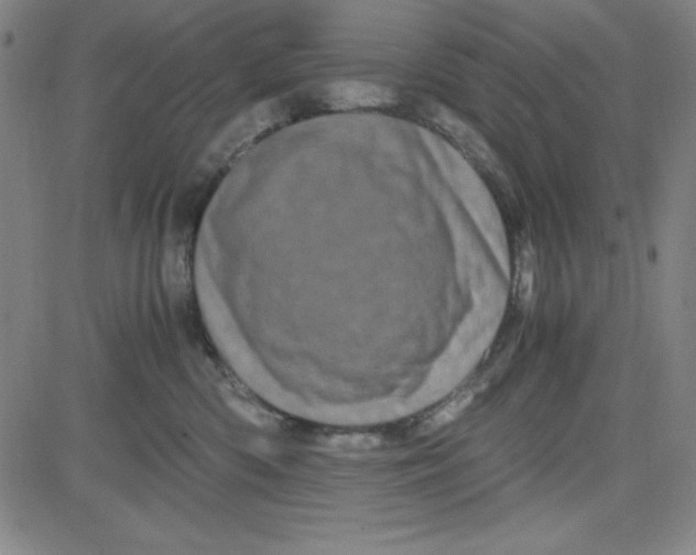 X0000081490426200702021927