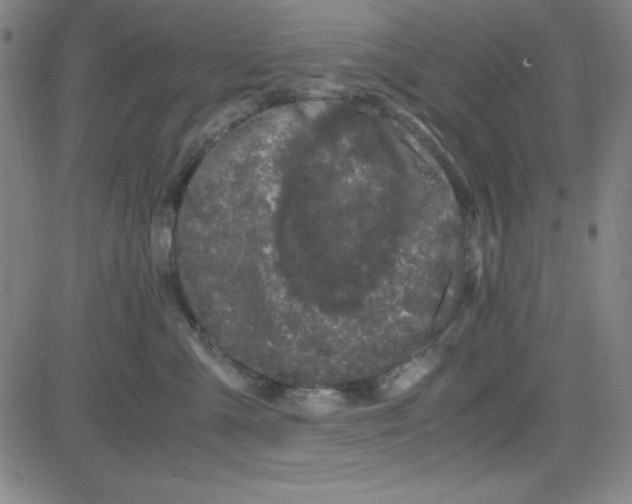 X0000081490427200702021927