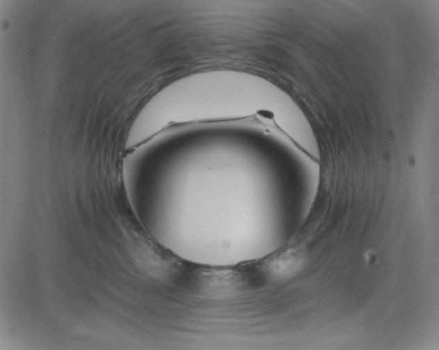 X0000081490428200702021927