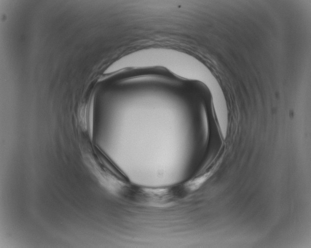 X0000081490429200702021927