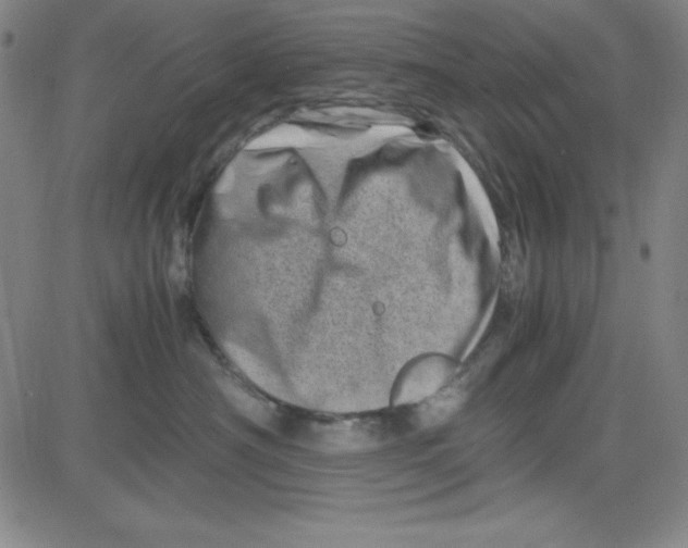 X0000081490430200702021927