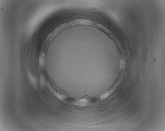 X0000081490431200702021927