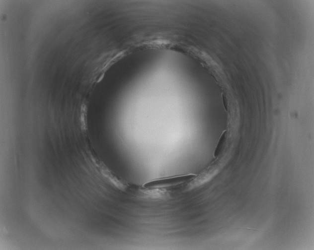 X0000081490432200702021927