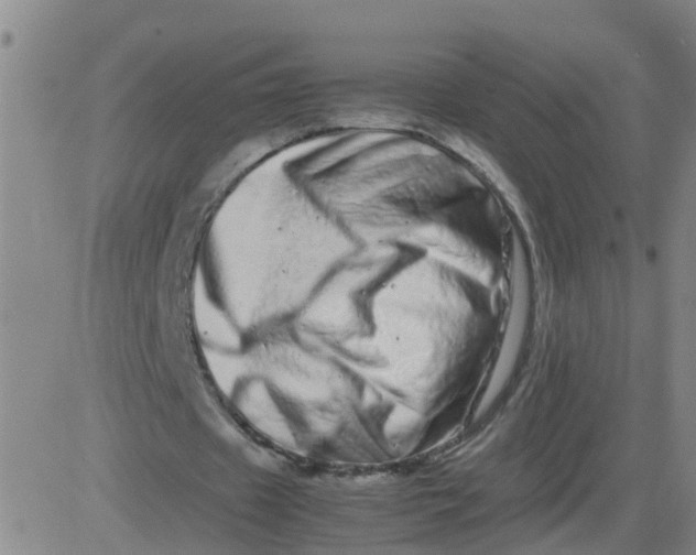 X0000081490433200702021926