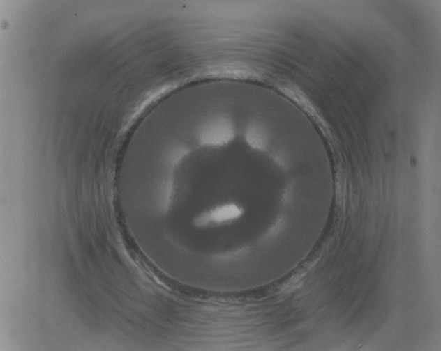 X0000081490434200702021926