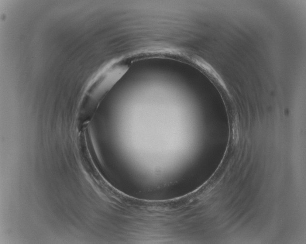 X0000081490436200702021927