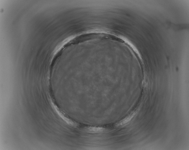 X0000081490437200702021927