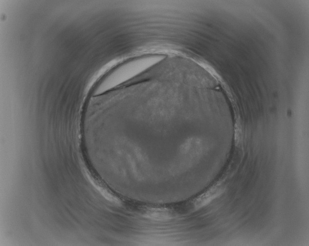 X0000081490438200702021927