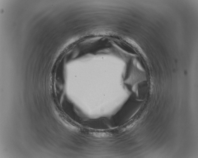 X0000081490439200702021927