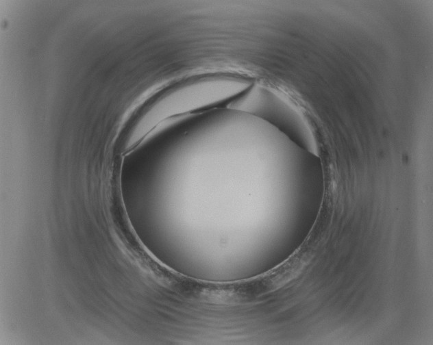 X0000081490440200702021927