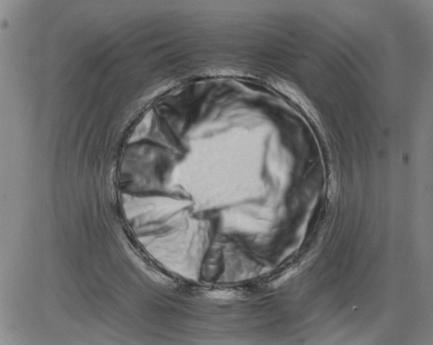 X0000081490441200702021927