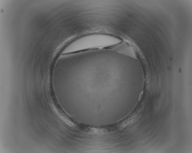 X0000081490442200702021927