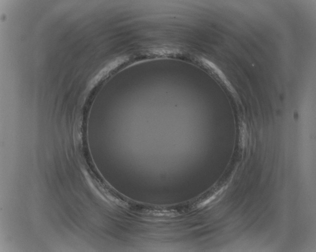 X0000081490443200702021927