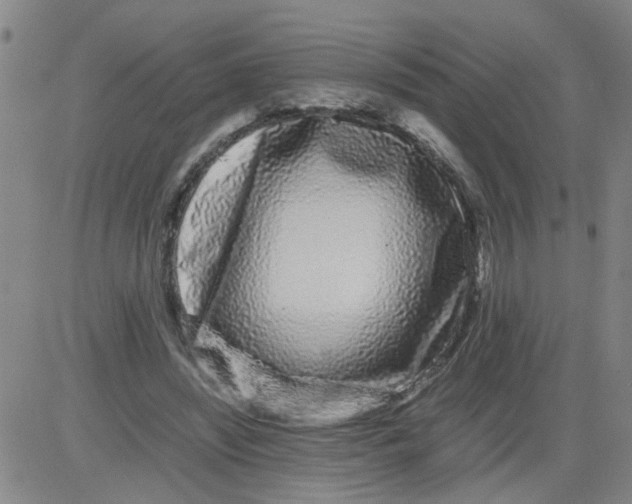 X0000081490444200702021927