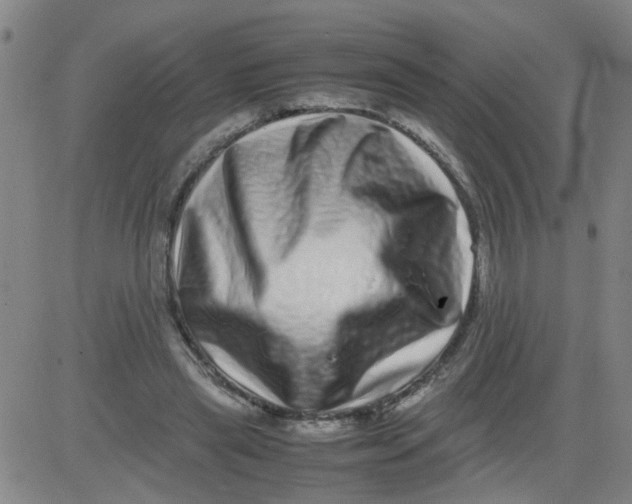 X0000081490445200702021927