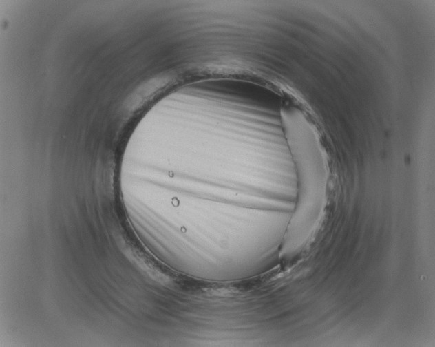 X0000081490446200702021927