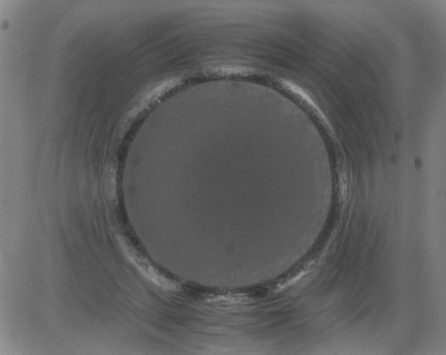 X0000081490447200702021927