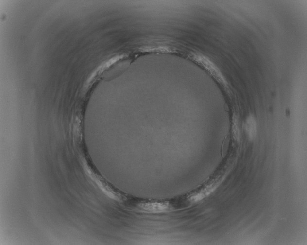 X0000081490449200702021927