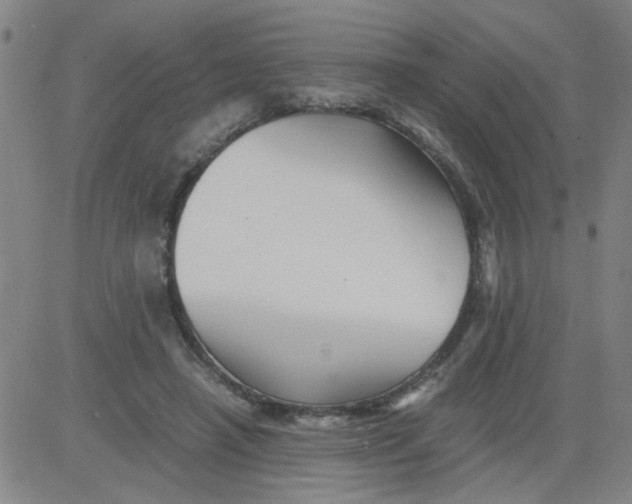 X0000081490450200702021927