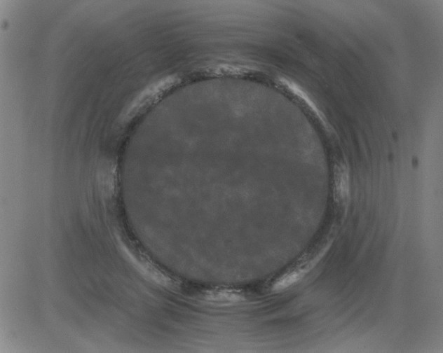 X0000081490451200702021927