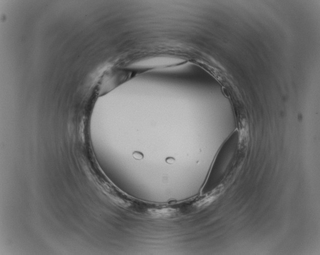 X0000081490452200702021927