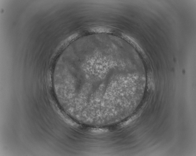 X0000081490453200702021927