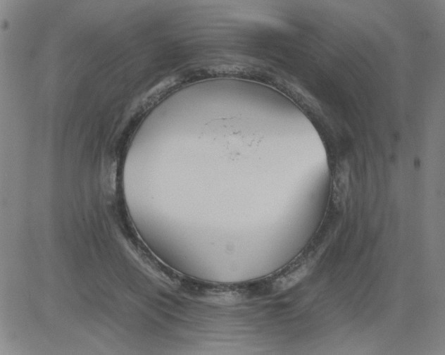 X0000081490454200702021927