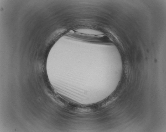 X0000081490455200702021927