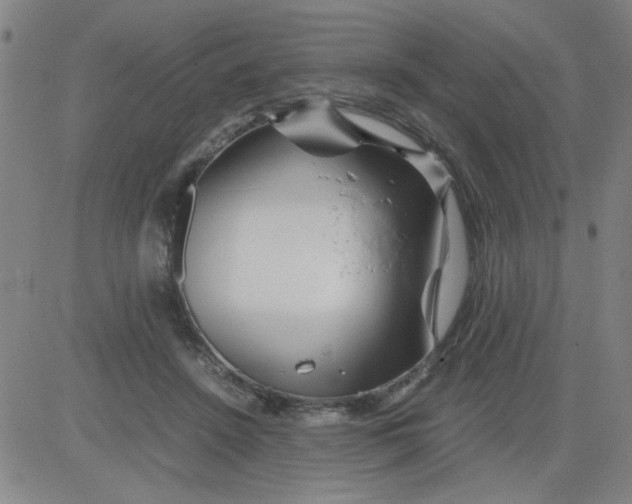 X0000081490456200702021927