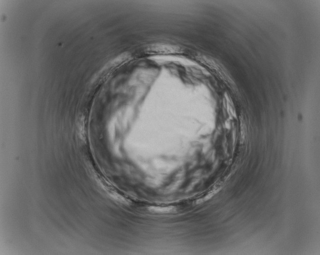 X0000081490457200702021927