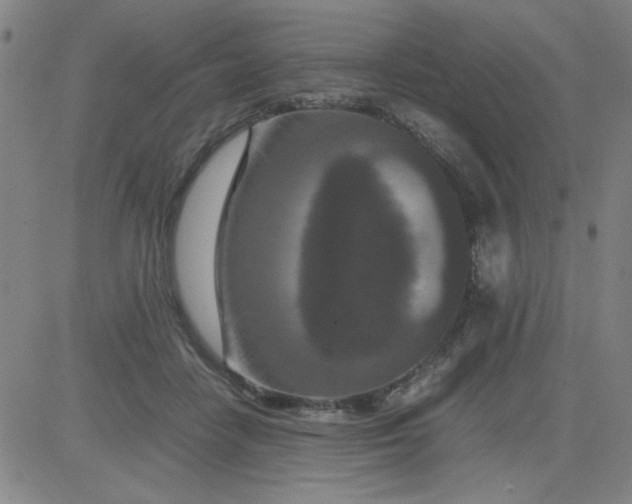 X0000081490458200702021927