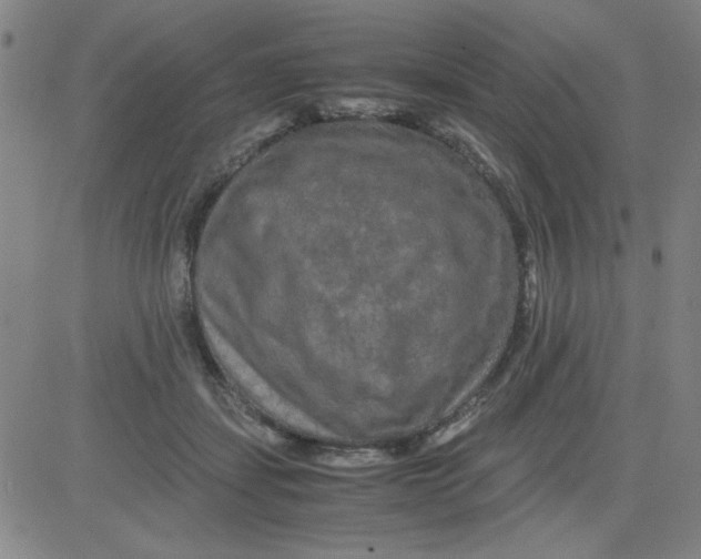 X0000081490459200702021927