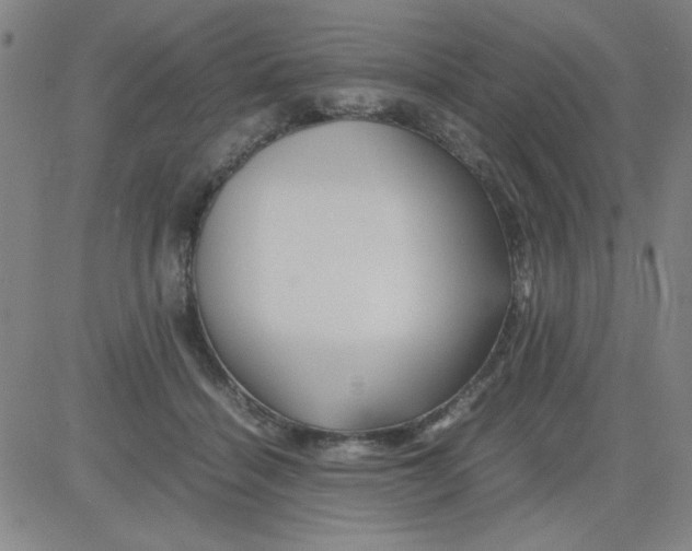 X0000081490460200702021927