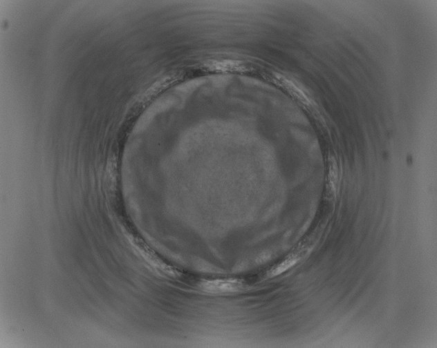 X0000081490461200702021927