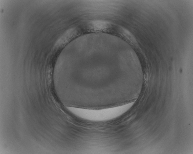 X0000081490462200702021927