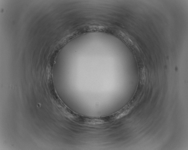 X0000081490463200702021927