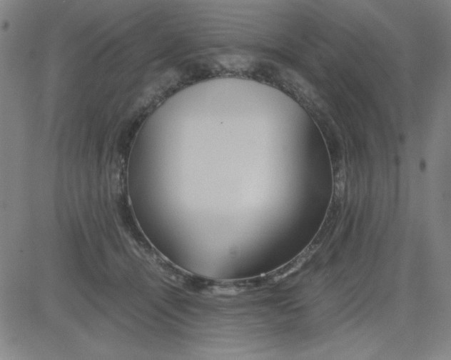 X0000081490464200702021927